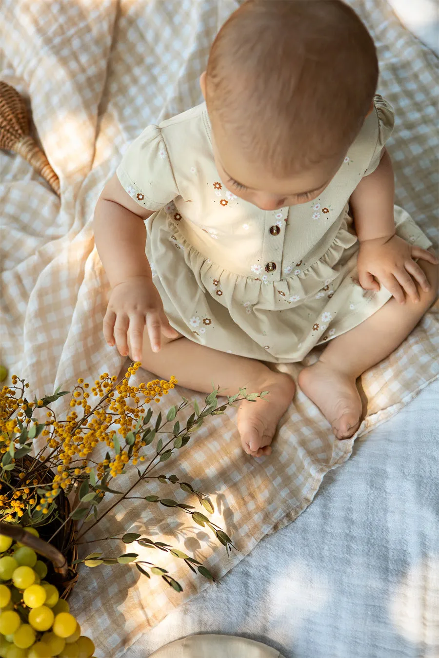 Baby Dress Petit Lem Floral