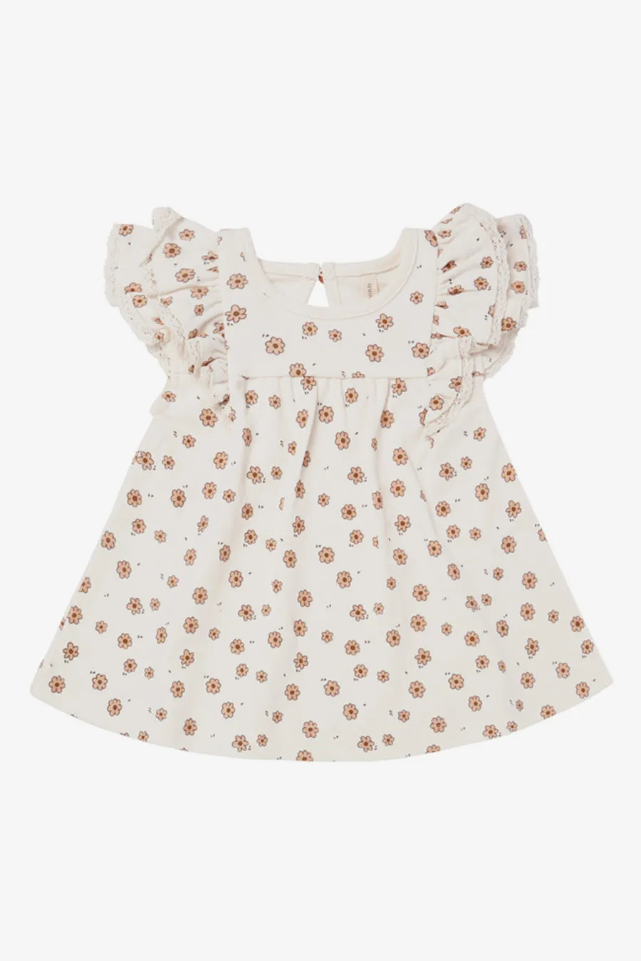 Baby Dress Quincy Mae Daisy Confetti Set