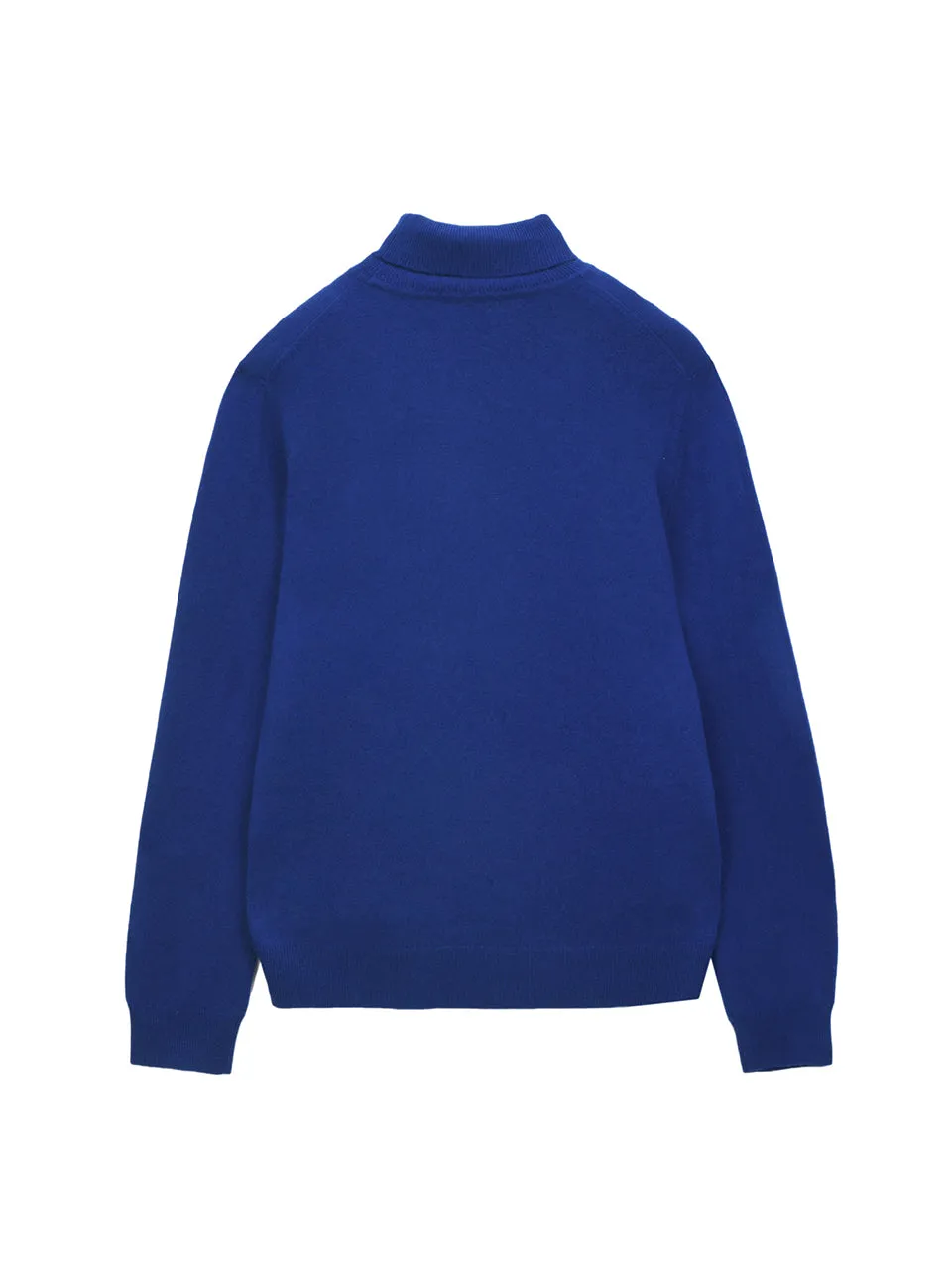 Men Turtleneck Sweater_Royal Blue