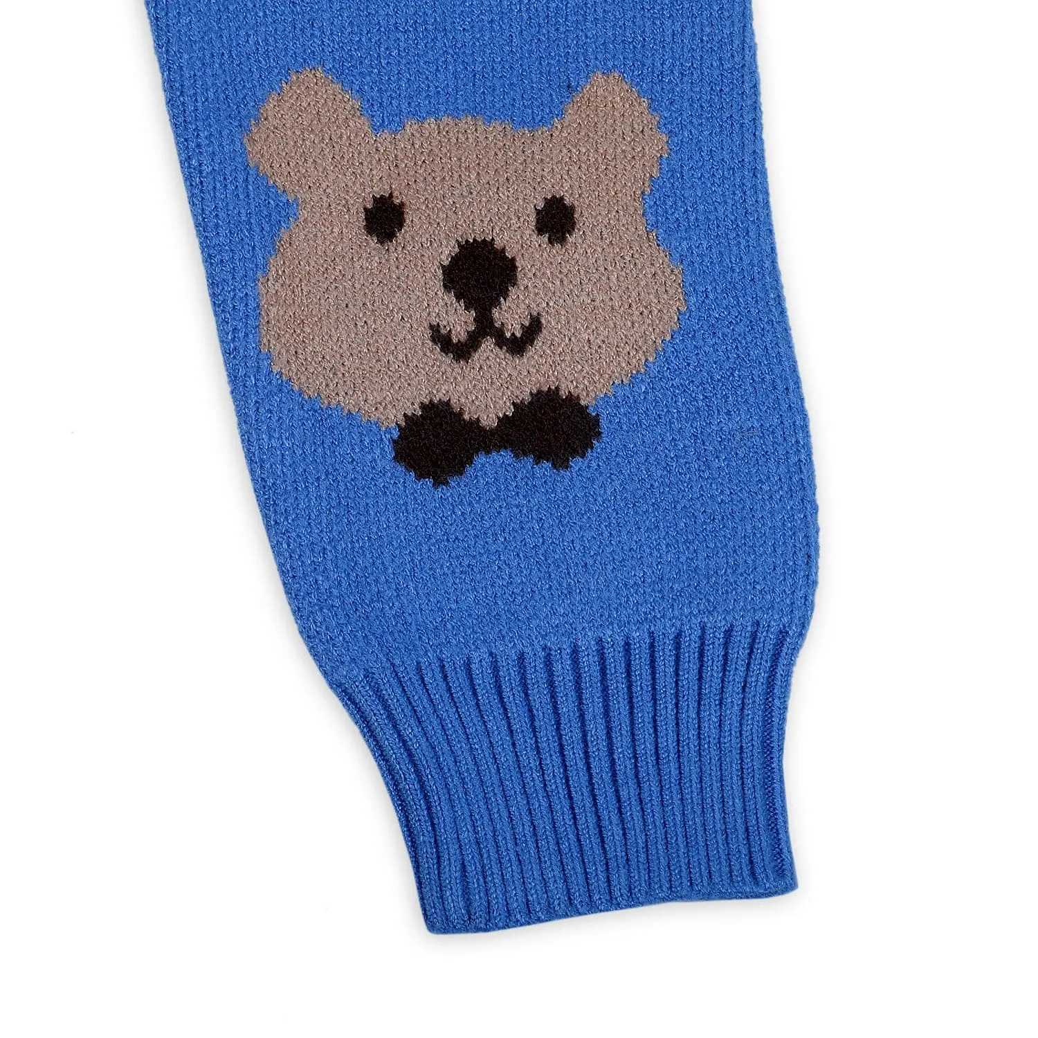 Mr. Bear Premium Full Sleeves Knitted Sweater With 3D Applique - Blue